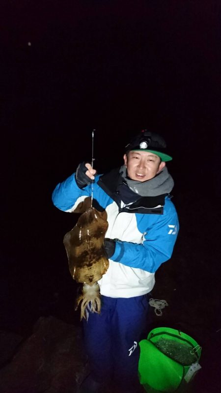 今年初のキロアップアオリイカ