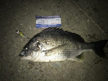 マックス武庫川店フォトコンテストに参加