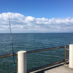 久しぶりの投稿です。