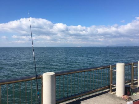 久しぶりの投稿です。