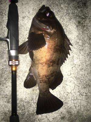 渋いと思いきや…パターン発見！