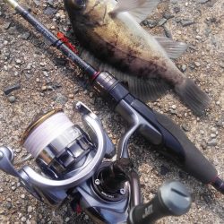 やっと春がきました