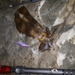 久しぶりの釣行