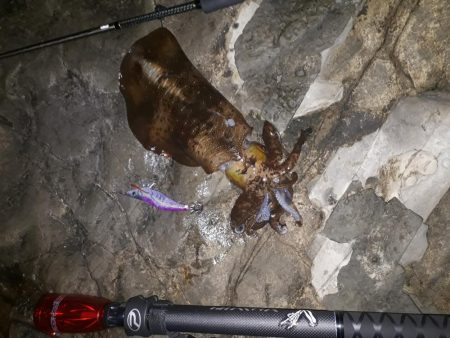 久しぶりの釣行