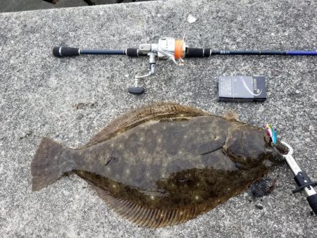 今年初のひらめゲット