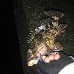 雨には勝てない