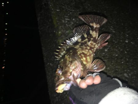 雨には勝てない