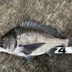 イチノ兄弟、釣果！