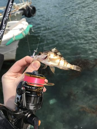 デイアジング…？