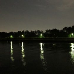 短時間シーバス