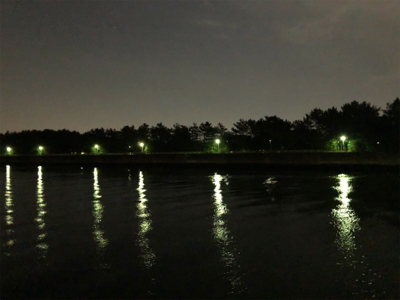 短時間シーバス