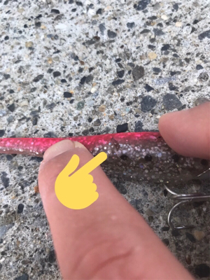 舌平目とヒラメ?