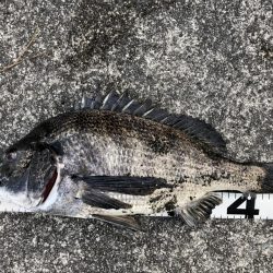 イチノ兄弟、釣果！