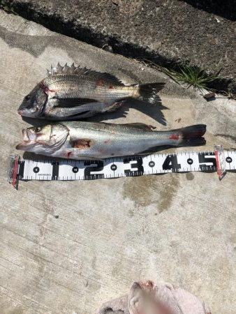 んー、寂しい。