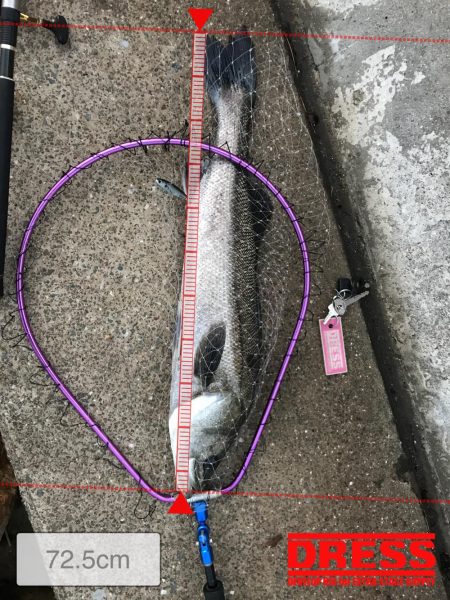 新元号発表前日にナイスフィッシュ