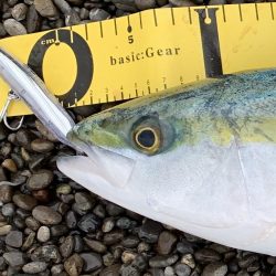 Tオヤジ  ダッシュ ショアジギングIN煙樹ヶ浜