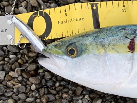 Tオヤジ  ダッシュ ショアジギングIN煙…