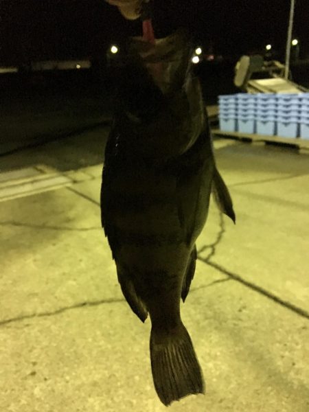 ナイトメバリング