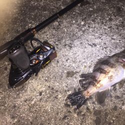 出張先の楽しみ⑤