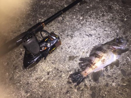 出張先の楽しみ⑤