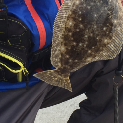 ライトショアジギング