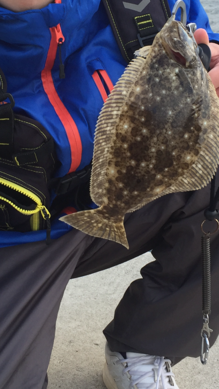 ライトショアジギング