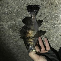 ちびっ子たくさん