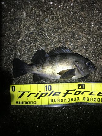 雨上がりまずまず