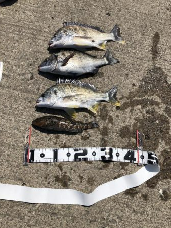 強風の中 ボウズ逃れられました！