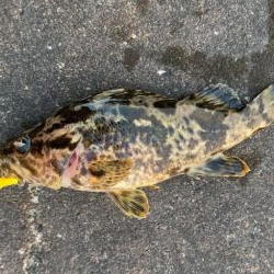 デイメバリング