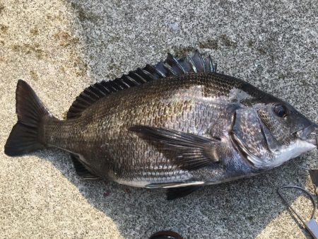 暖かくなってきた