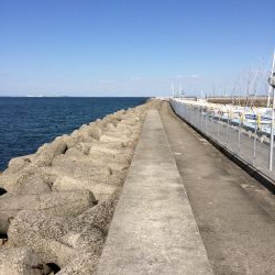 カレイ釣りに挑戦