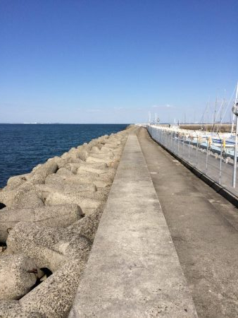 カレイ釣りに挑戦