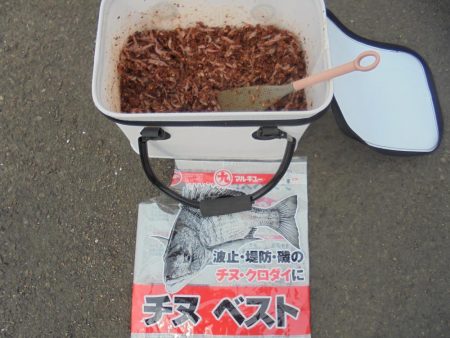 今年初クロダイ