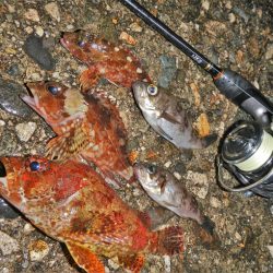 爆風、そして雨