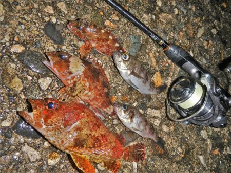 爆風、そして雨