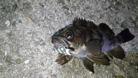 流れが速い時はメタル！！