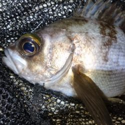 今夜は何でもあり？！