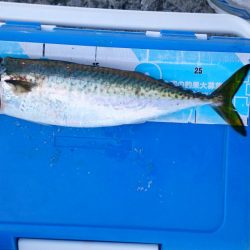 うわさのあいつ