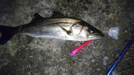 ダメもとでバチ抜け