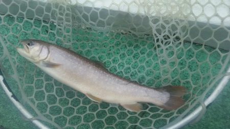 雨のとしまえん　エクストリーム