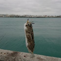 仕事で沖縄へ。