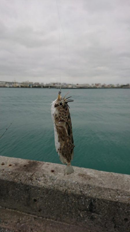 仕事で沖縄へ。