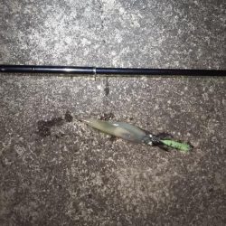 今日は渋かった・・・