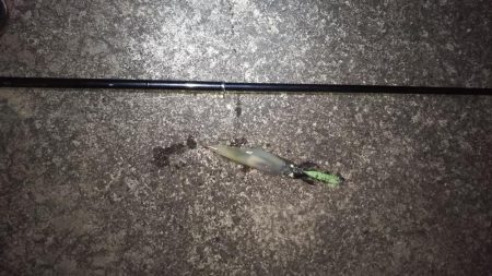 今日は渋かった・・・