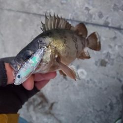 なかなか乗らない