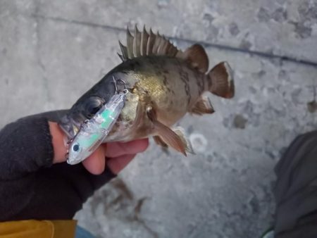 なかなか乗らない