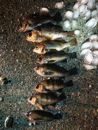 レッツメバリング