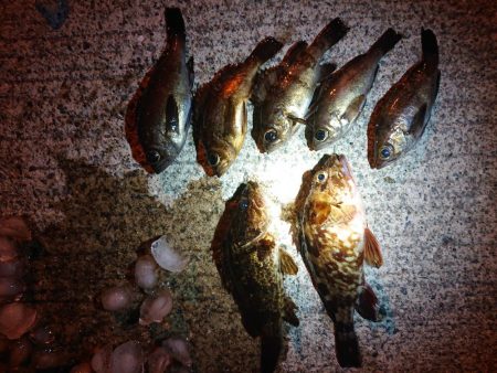 レッツメバリング