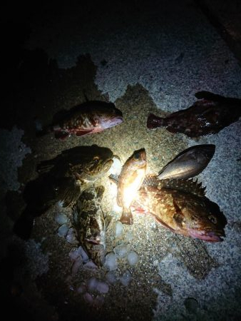 レッツガシリング